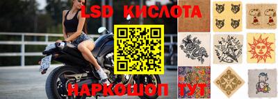 СК Гусев