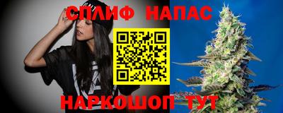 СК Гусев