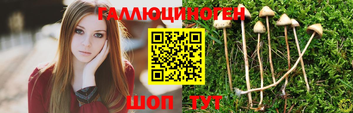 Дербент  Псилоцибиновые грибы Magic Shrooms  даркнет сайт  Вход с VPN  Галлюциногенные грибы мицелий 